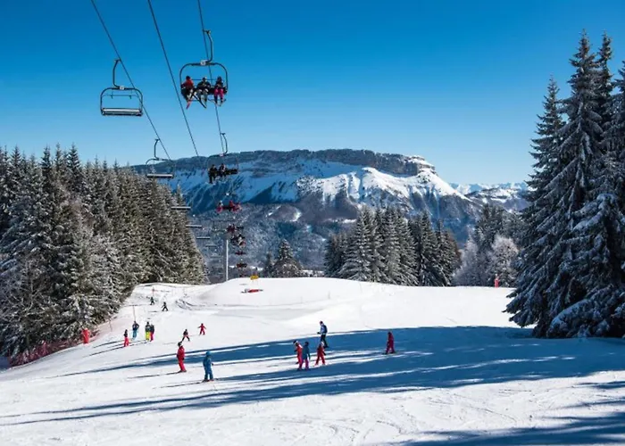 Superbe Appartement Au Pied Des Pistes